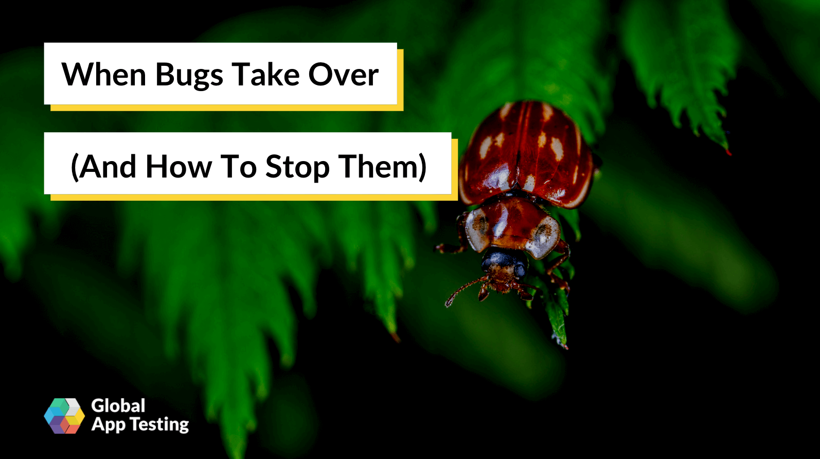 When Bugs Take Over And How To Stop Them 